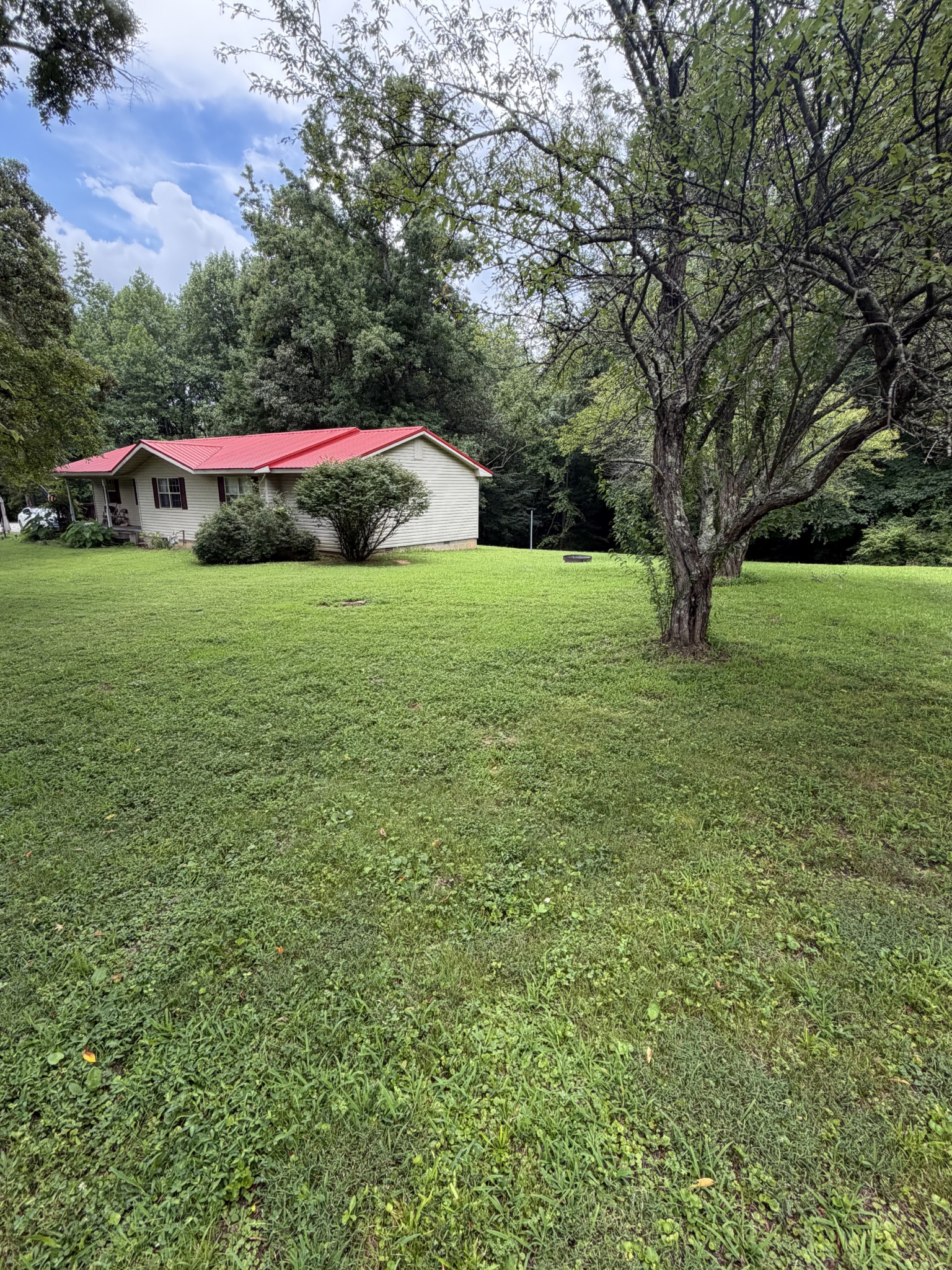 490 Boldan Road Reagan, TN 38368 - Photo 2 of 19 a view of an outdoor space and yard
