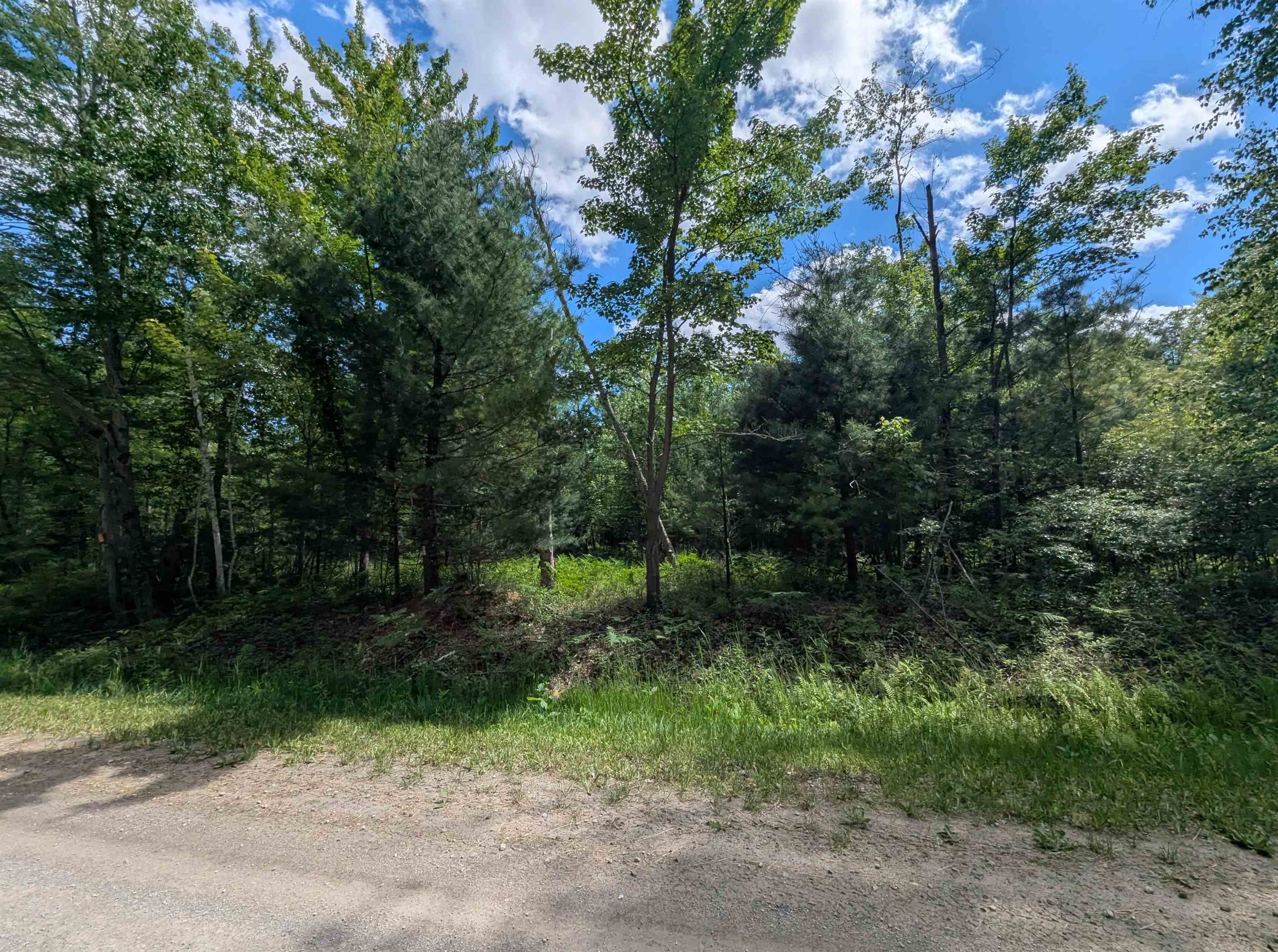 N/a Bordeau Road Standish, MI 48658 - Photo 4 of 8