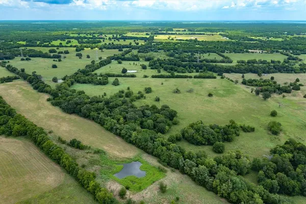 a view of a green field with lots of green plants in it
