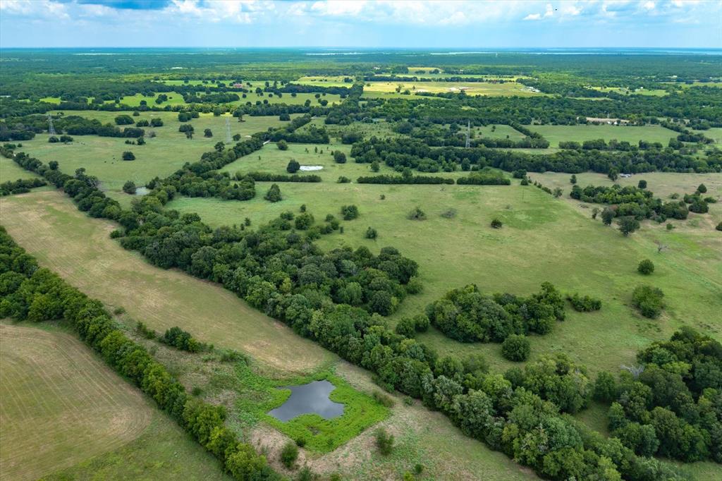 0 VZ County Road 3812 Wills Point, TX 75169 - Photo 11 of 21 a view of a green field with lots of green plants in it