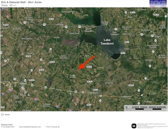 a black and white photo of a tree