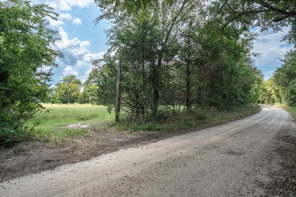0 VZ County Road 3812 Wills Point, TX 75169 - Photo 8 of 21 a view of a forest with trees in the background