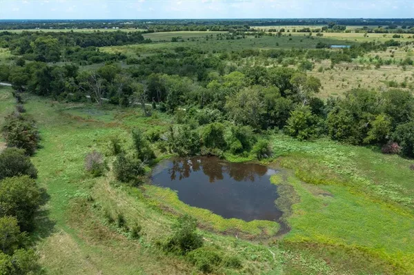 a view of a garden with a lake
