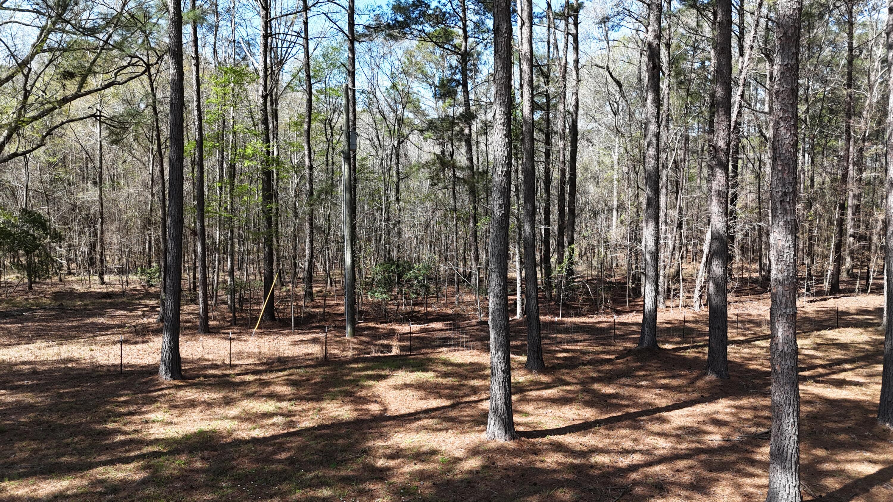 1995 Sam Nexsen Road Summerton, SC 29148 - Photo 64 of 110