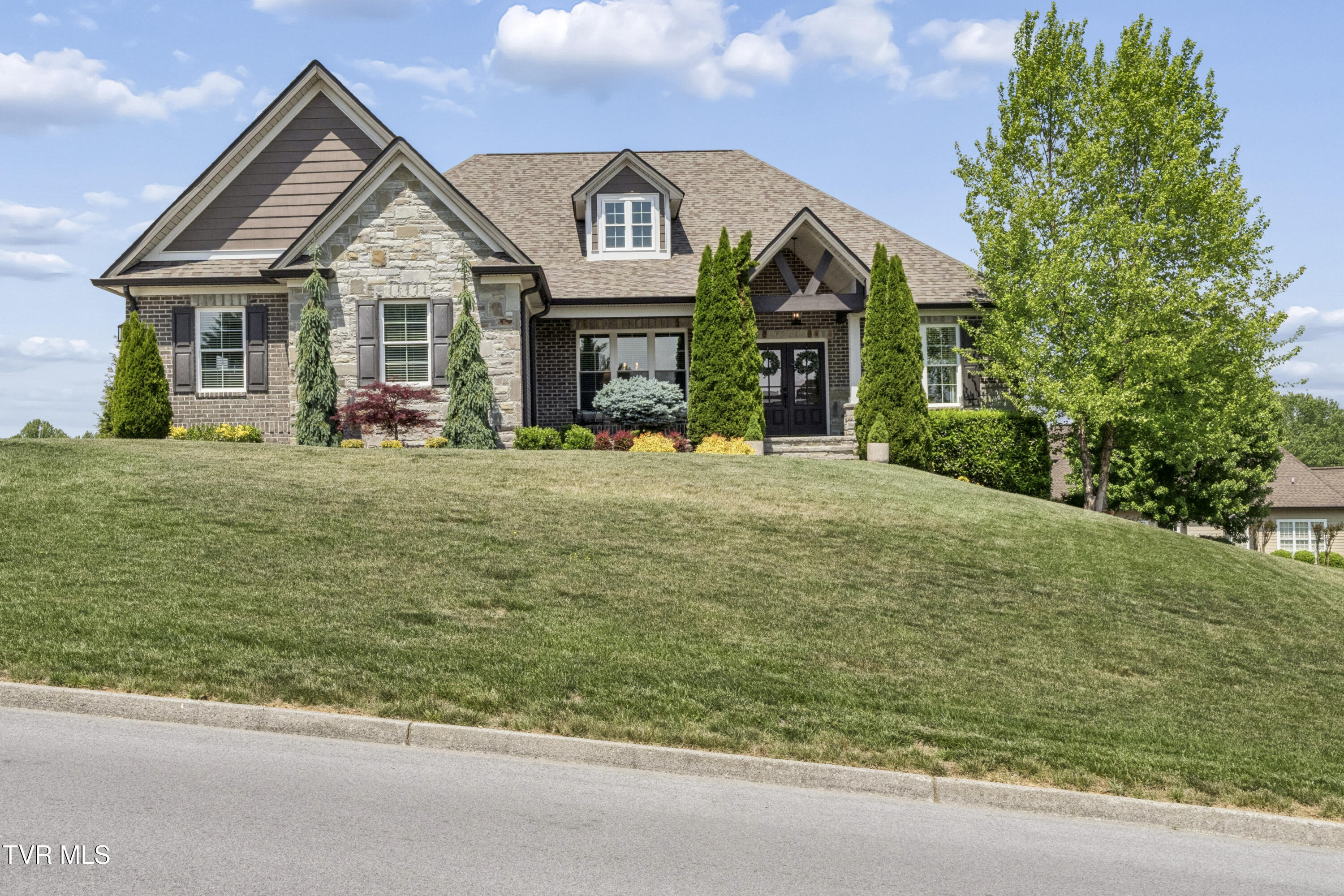 50 Sunset Ridge Court Gray, TN 37615 - Photo 100 of 108 Sunset--90