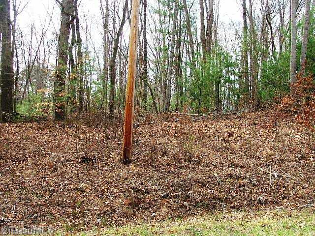 1 Elastic Plant Road Westfield, NC 27053 - Photo 12 of 14 Other. NEW DIRVEWAY ACCESS AREA