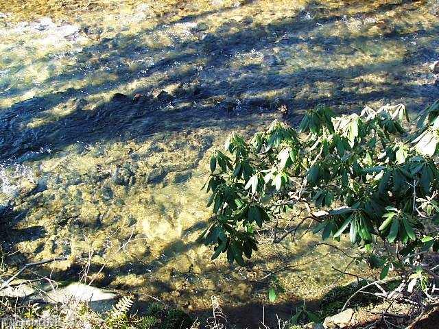 1 Elastic Plant Road Westfield, NC 27053 - Photo 3 of 14 Other. UNBELIEVABLE CLEAR WATER