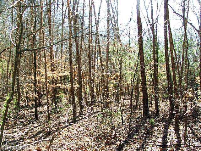 1 Elastic Plant Road Westfield, NC 27053 - Photo 9 of 14 Other. RIVER BRICH LINE THE BOTTOM LAND JOINING THE RIVER