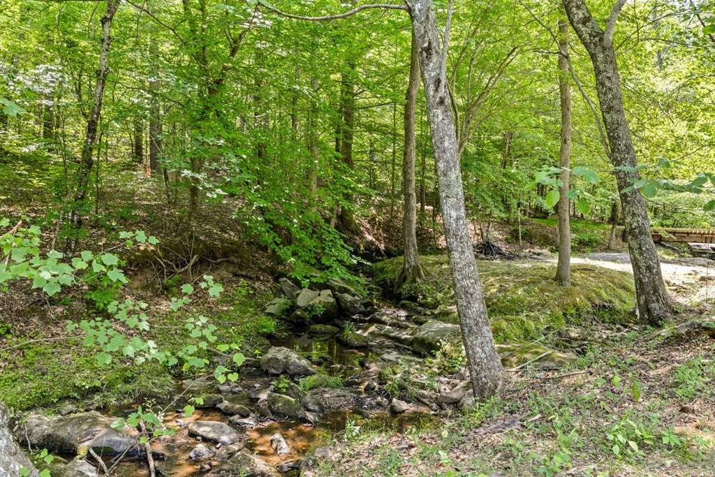 2533 Beech Forest Road Kenbridge, VA 23944 - Photo 7 of 58 Gallery Image 7