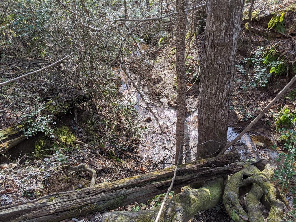 1765 Cove Road Rutherfordton, NC 28139 - Photo 22 of 30