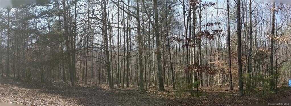 1765 Cove Road Rutherfordton, NC 28139 - Photo 29 of 30