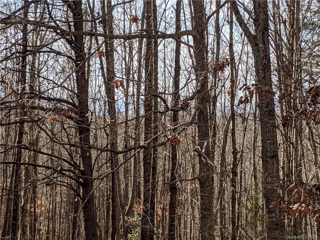 1765 Cove Road Rutherfordton, NC 28139 - Photo 6 of 30