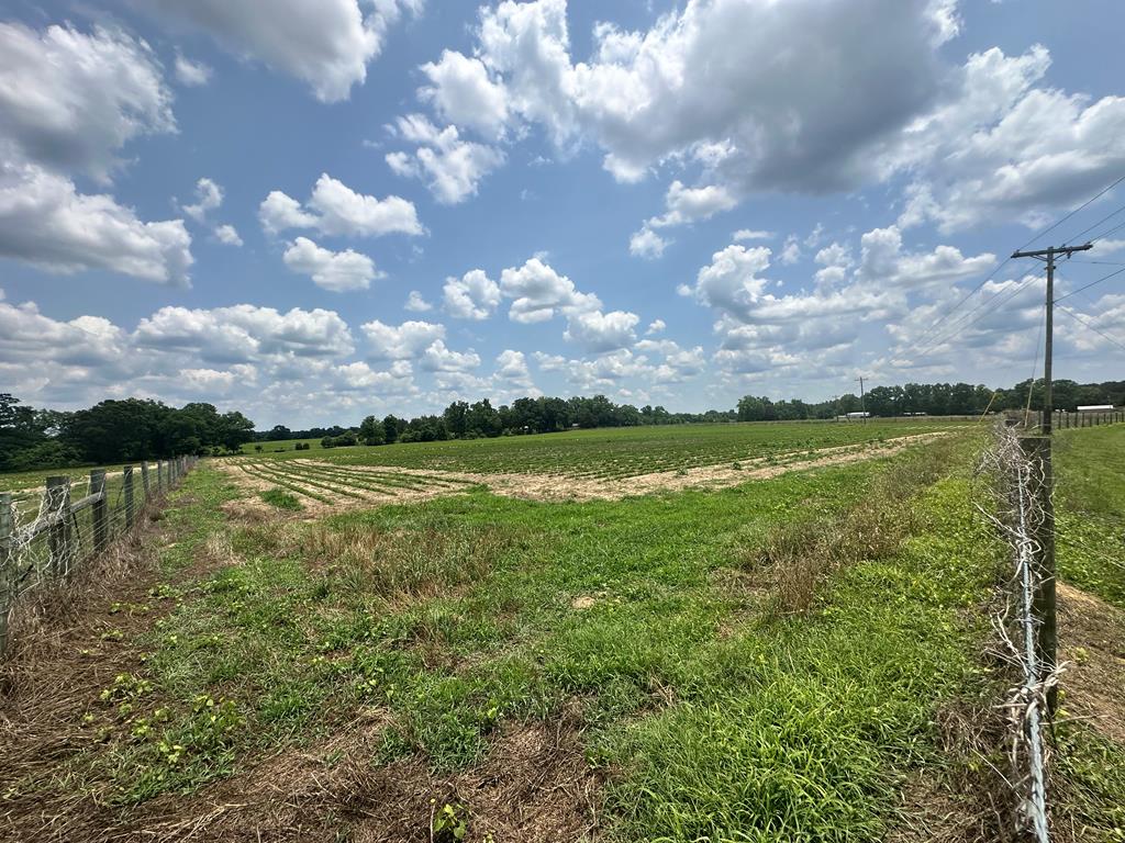 12-acres J Saunders Road Dothan, AL 36303 - Photo 2 of 3