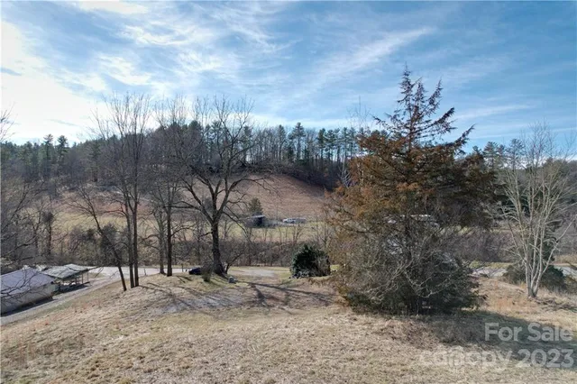 a view of a road with large trees
