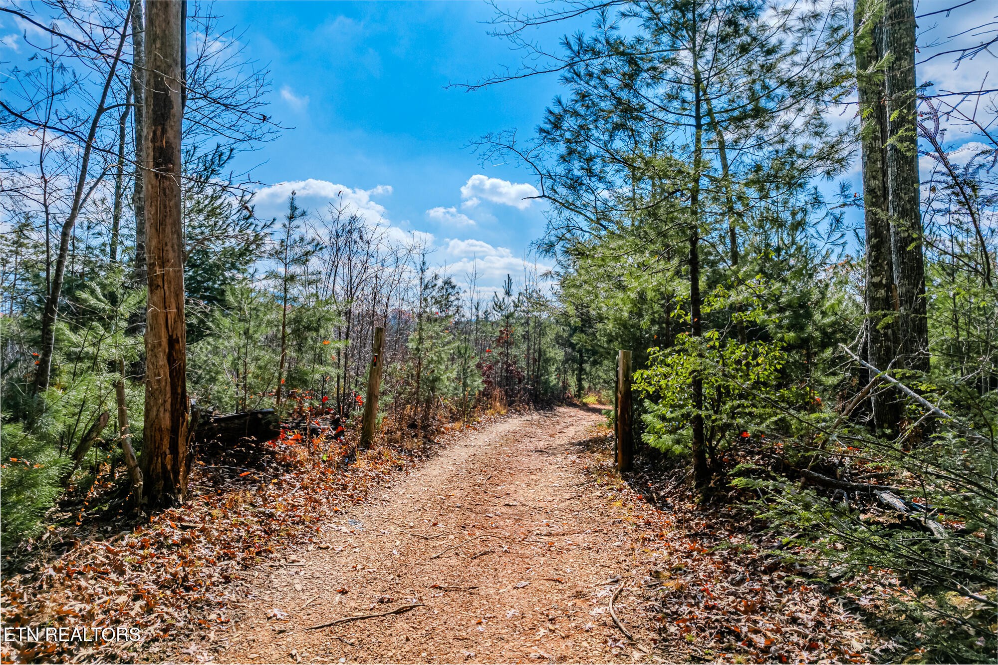 0 Pond Ridge Road Tellico Plains, TN 37385 - Photo 5 of 32