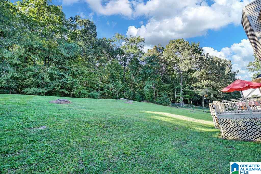 6271 Canterbury Road Pinson, AL 35126 - Photo 32 of 34