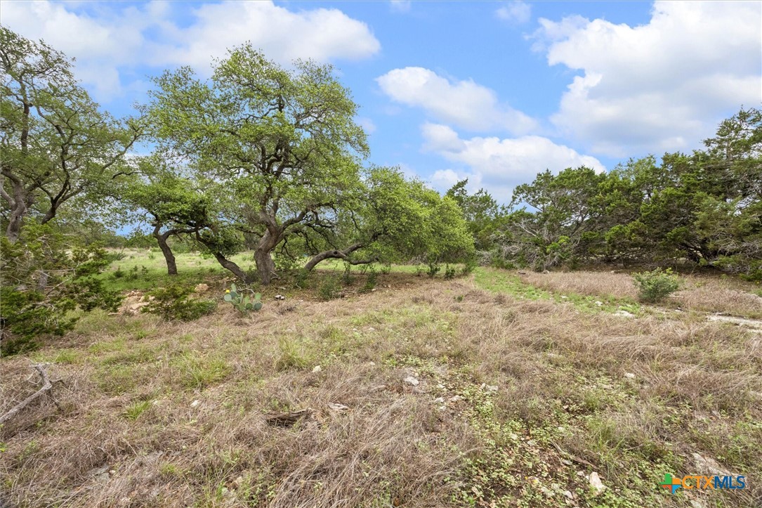 865 Rutherford Fischer, TX 78623 - Photo 5 of 11 a view of a yard with an trees
