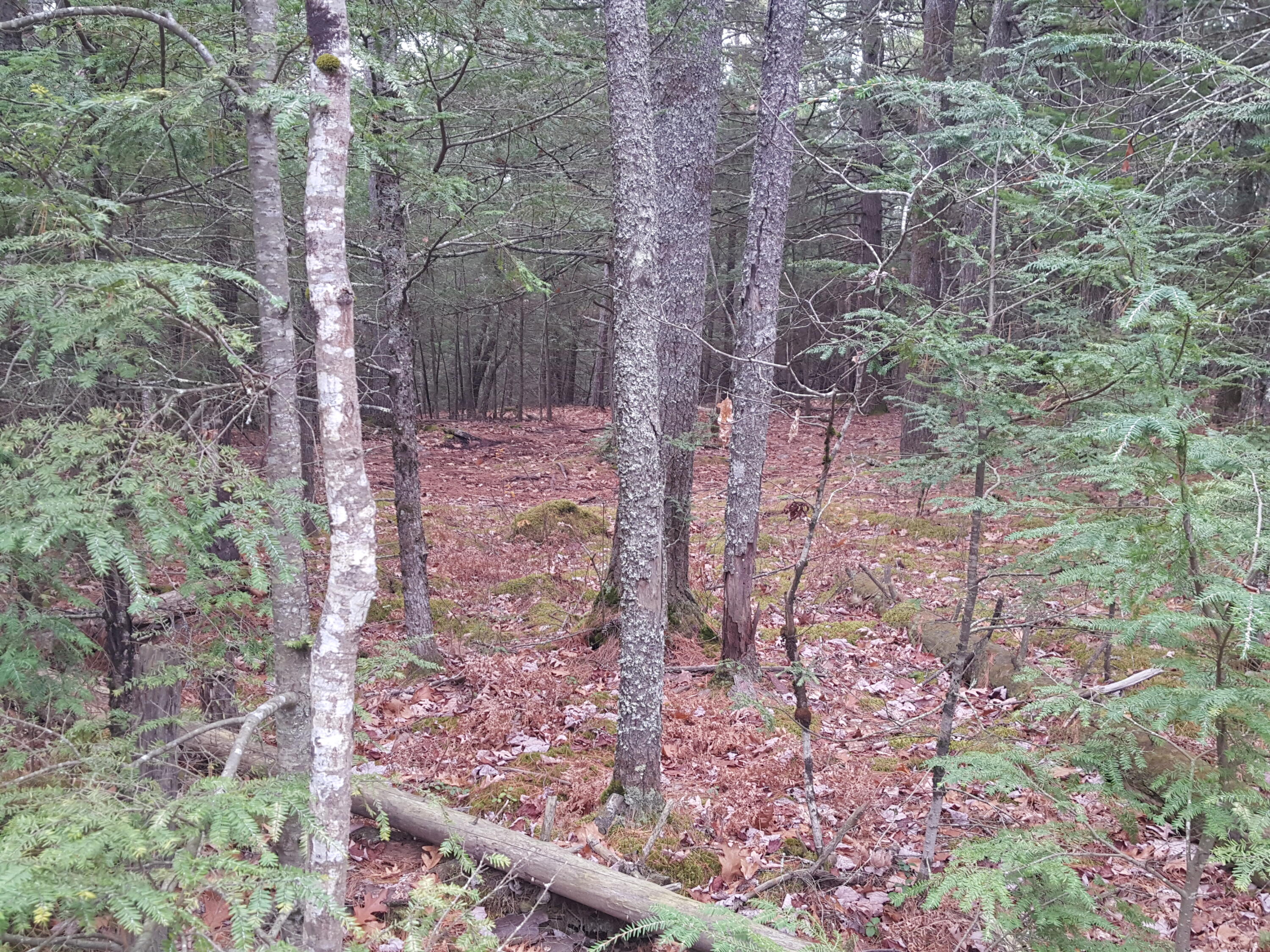 53 B Johnson Road Windham, ME 04062 - Photo 11 of 22 20251125_112104