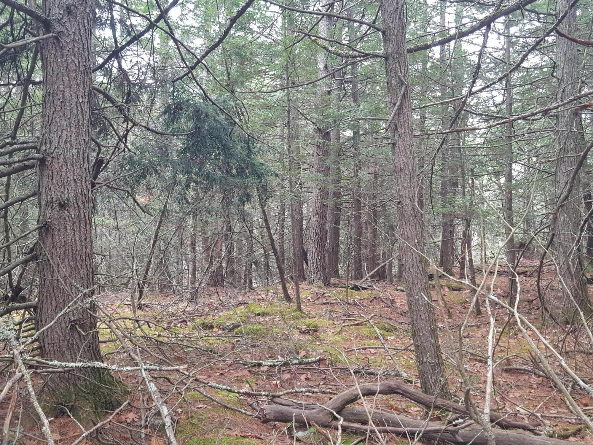 53 B Johnson Road Windham, ME 04062 - Photo 14 of 22 20251125_112807