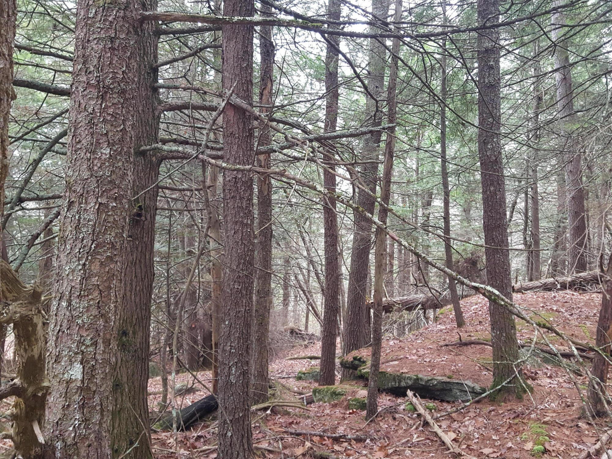 53 B Johnson Road Windham, ME 04062 - Photo 15 of 22 20251125_112835