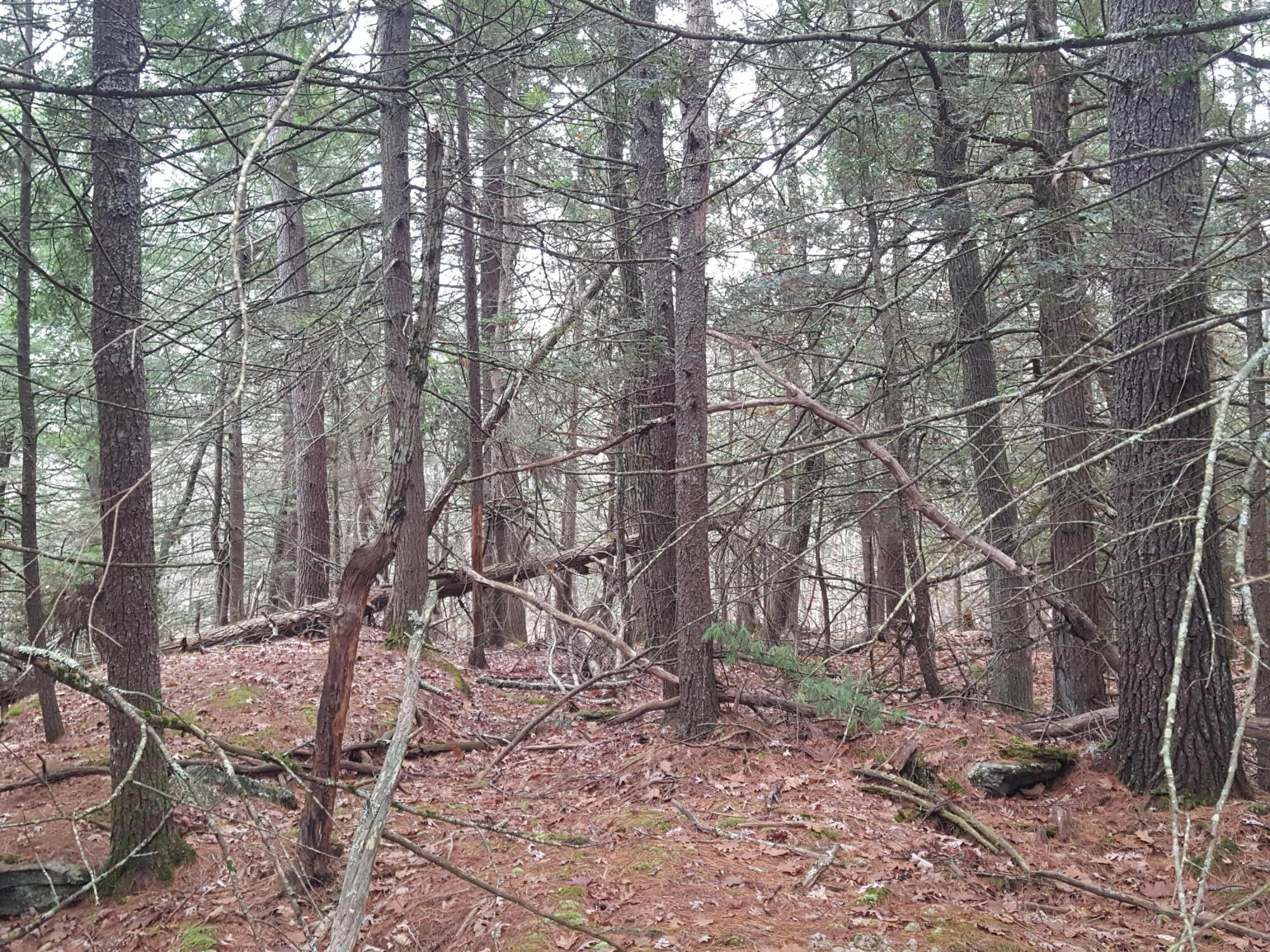 53 B Johnson Road Windham, ME 04062 - Photo 16 of 22 20251125_112841