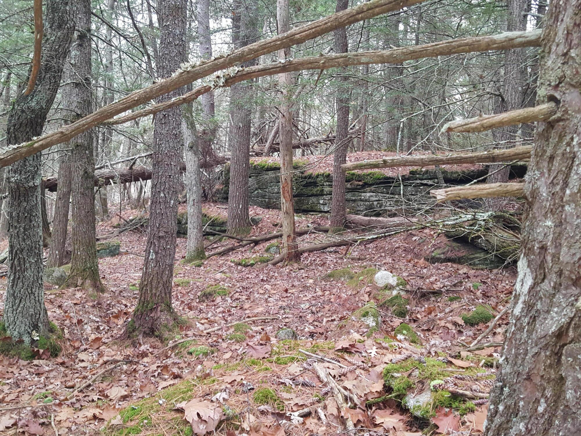 53 B Johnson Road Windham, ME 04062 - Photo 18 of 22 20251125_112918