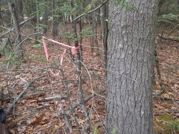 $679,000 | Undisclosed Address, Windham, ME 04062