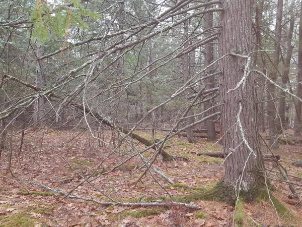 $679,000 | Undisclosed Address, Windham, ME 04062