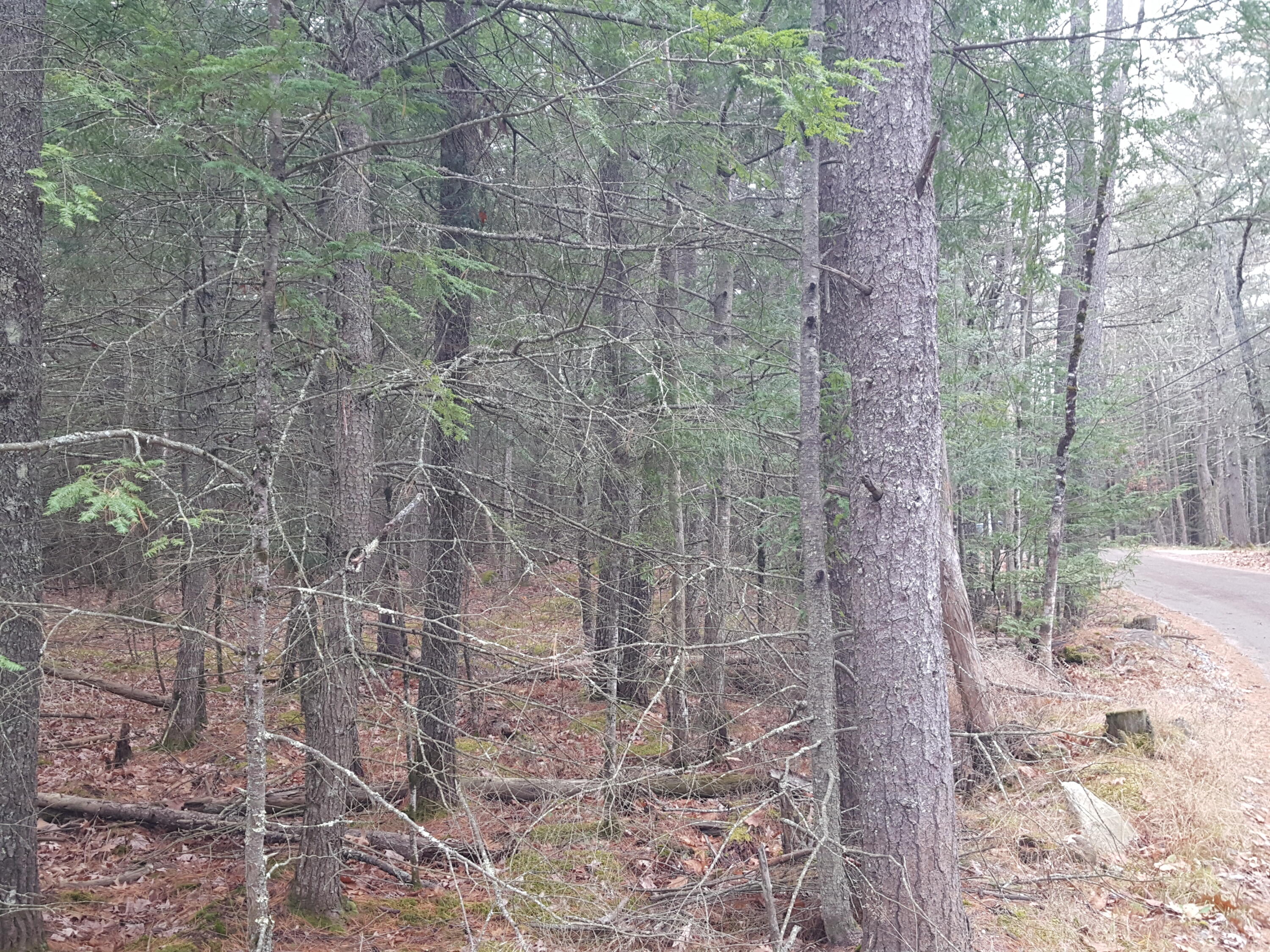 53 B Johnson Road Windham, ME 04062 - Photo 9 of 22 20251125_111942