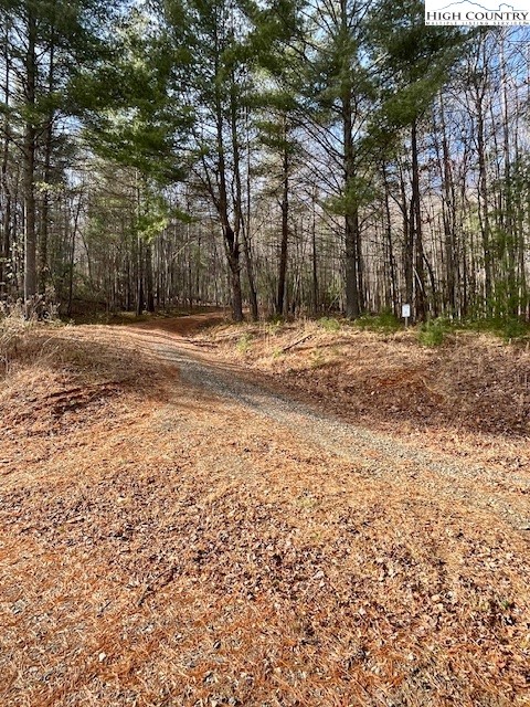 Doe Valley Lane Deep Gap, NC 28618 - Photo 5 of 16