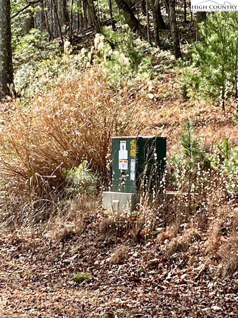 Doe Valley Lane Deep Gap, NC 28618 - Photo 6 of 16