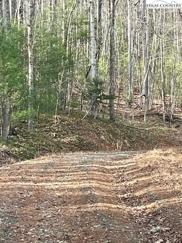 a view of a yard with trees