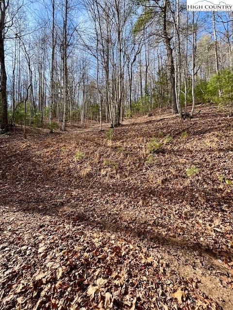 Doe Valley Lane Deep Gap, NC 28618 - Photo 8 of 16