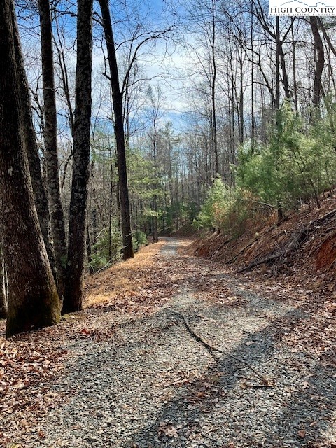 Doe Valley Lane Deep Gap, NC 28618 - Photo 10 of 16