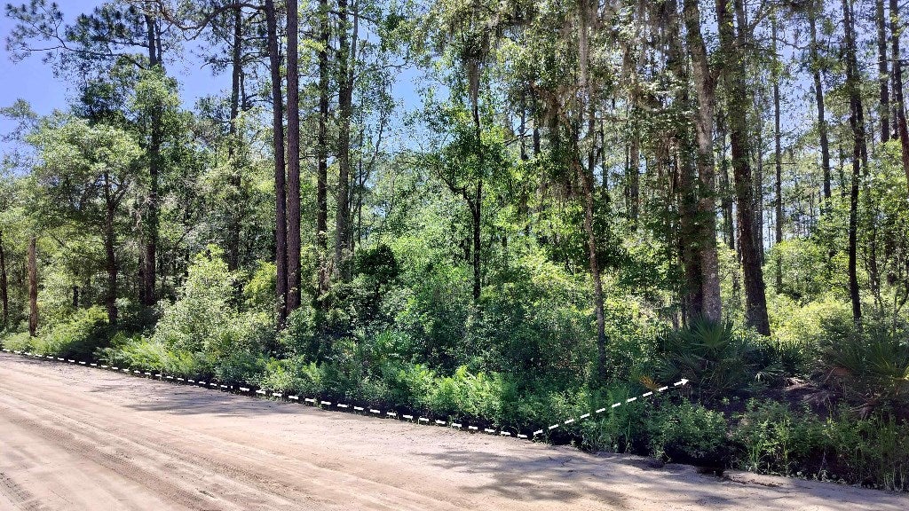 3143 Black Road Valdosta, GA 31606 - Photo 13 of 22 Gallery Image 13