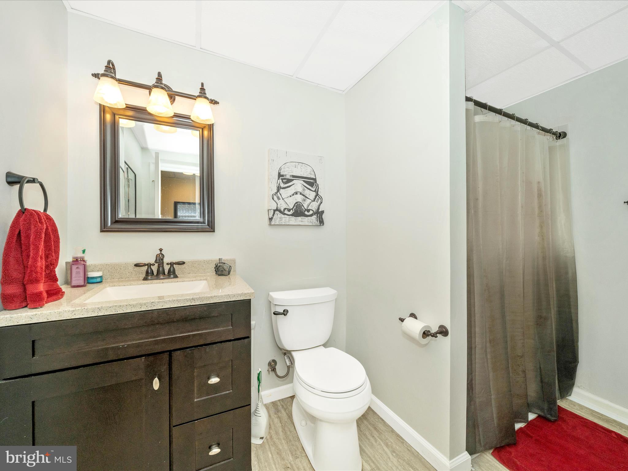 2529 Waterside Drive Frederick, MD 21701 - Photo 38 of 68 a bathroom with a toilet a sink and mirror