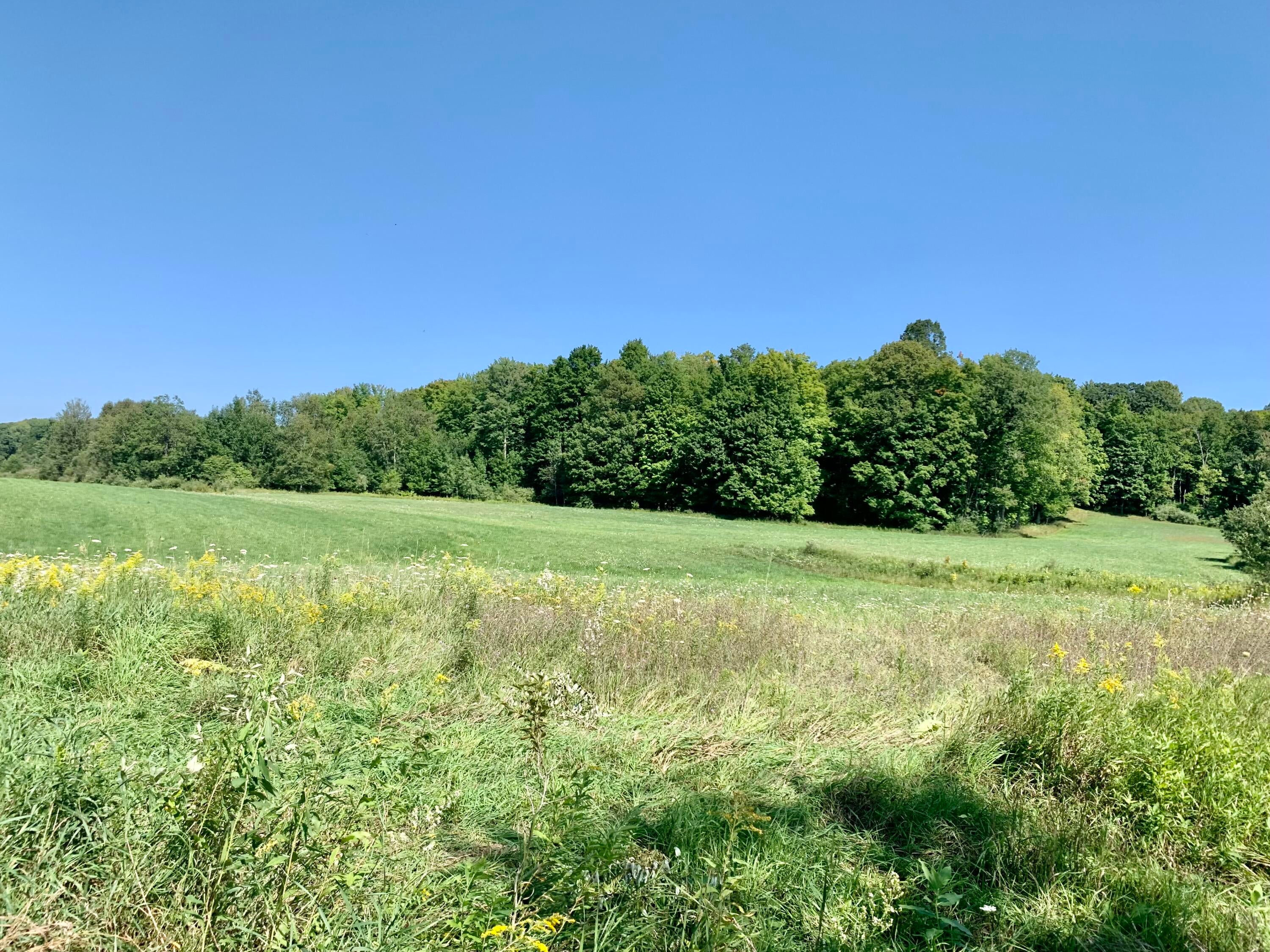 4631 South Branch Road South Branch, MI 48761 - Photo 55 of 63 Gallery Image 55