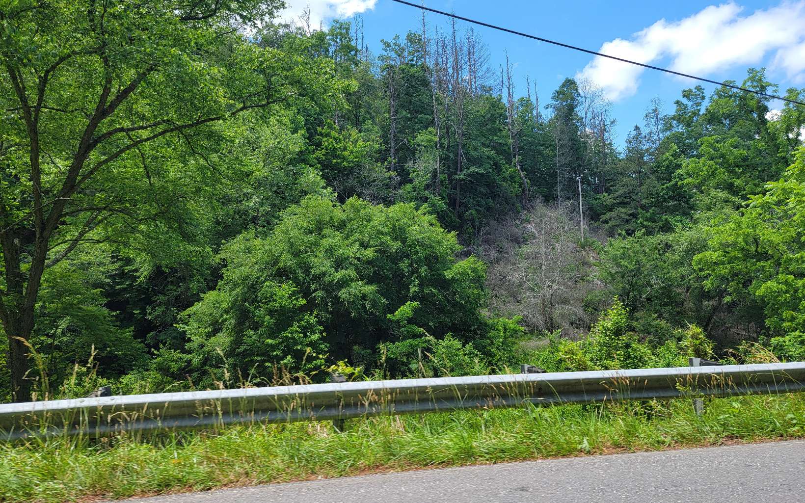 Pine Log Road Brasstown, NC 28902 - Photo 6 of 32 Additional View