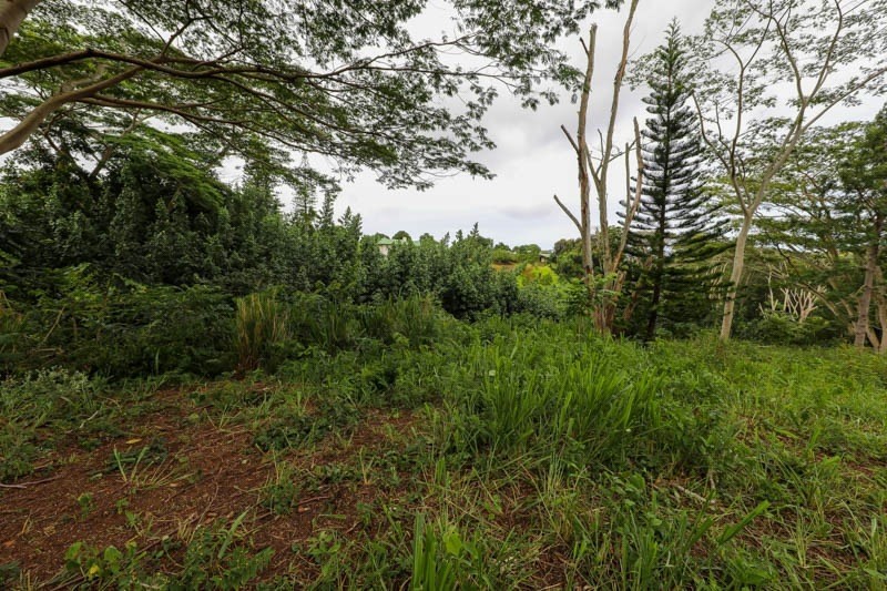 37 Omao Road Koloa, HI 96756 - Photo 20 of 29