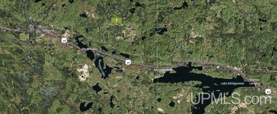 Tbd Off Craig Lake Road Michigamme, MI 49861 - Photo 19 of 23