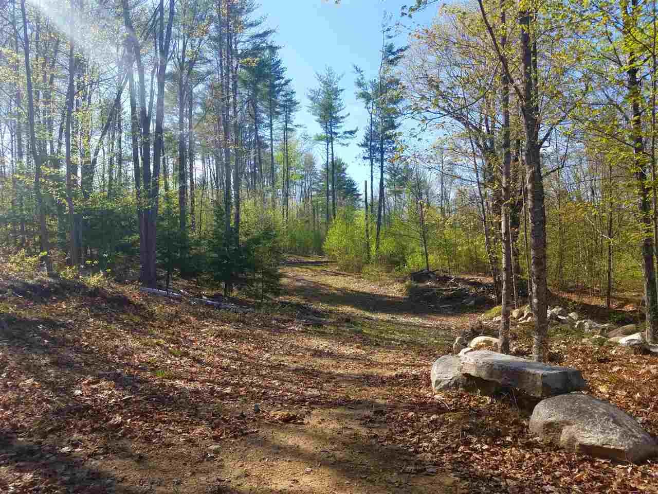 233 Haley Town Road Fryeburg, ME 04037 - Photo 30 of 37 Gallery Image 30
