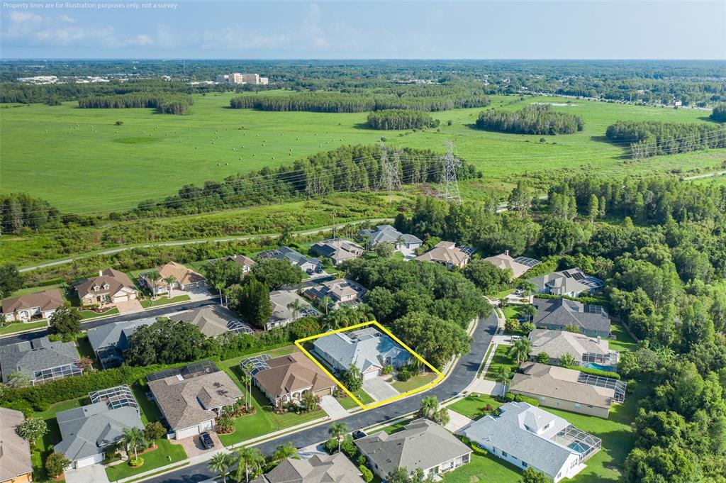 2151 Edelweiss Loop Trinity, FL 34655 - Photo 66 of 78