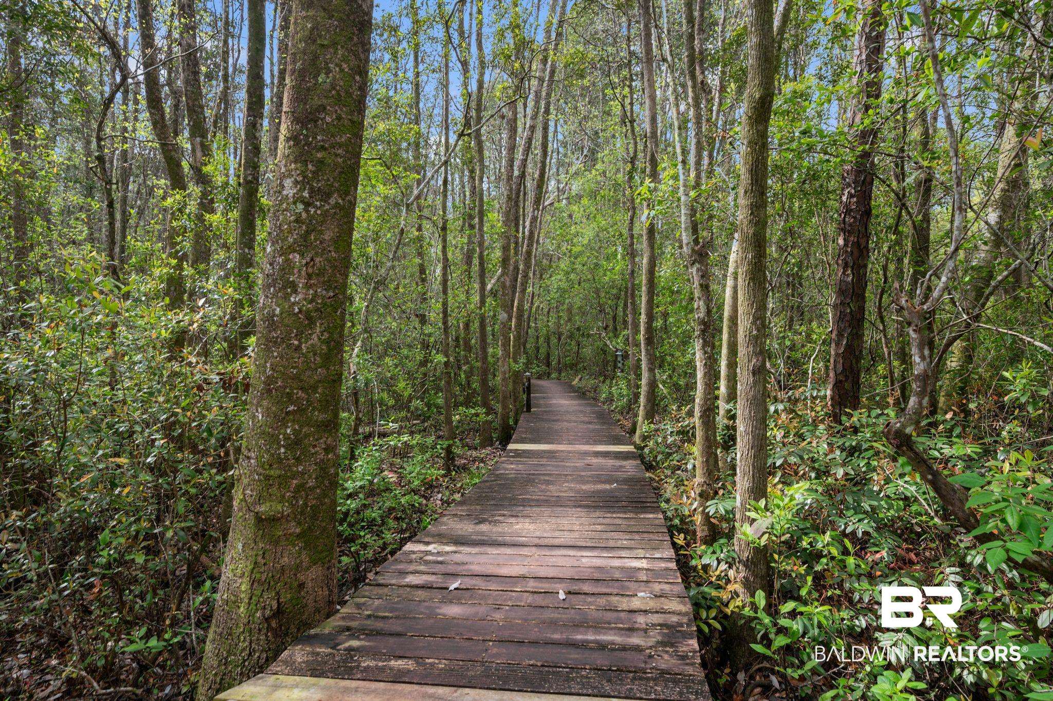 24711 County Road 20, Unit A11 Elberta, AL 36530 - Photo 28 of 35 Surrounding community with a forest view