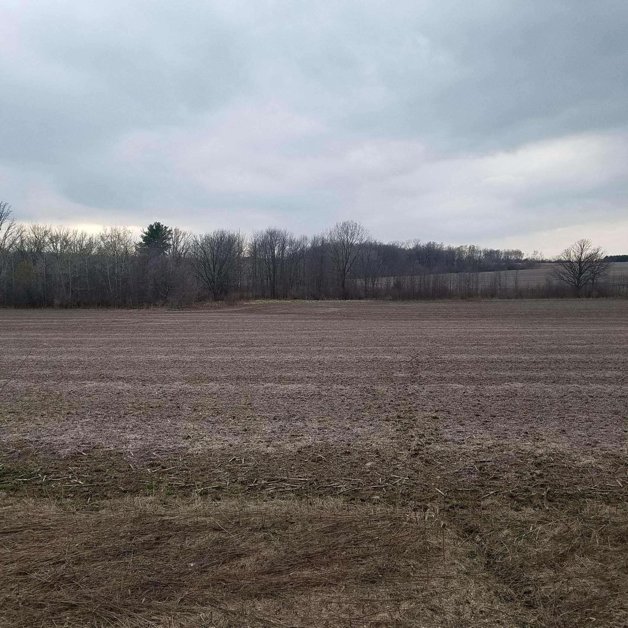 Xx 290th Street Wilson, WI 54027 - Photo 1 of 1 Gallery Image 1