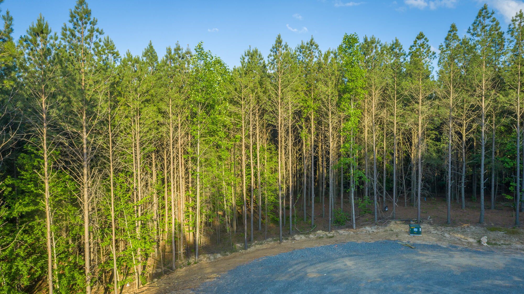 0 Back Basin Trail, Unit LOT 1244 Chattanooga, TN 37419 - Photo 49 of 119 0 Back Basin Trail - Lot 1244 HD-3