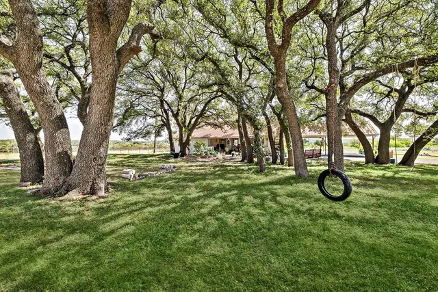 a view of yard with trees