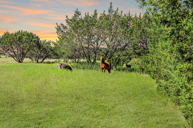 a view of yard with green space