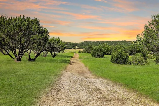 a view of a grassy field with trees