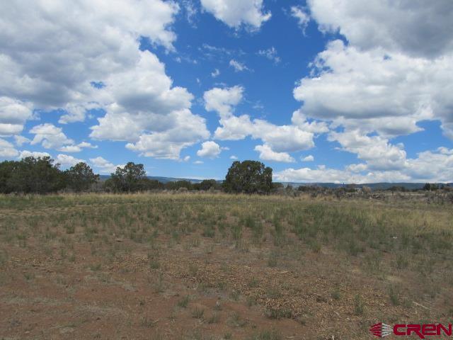 25333 Cedar Mesa Road Cedaredge, CO 81413 - Photo 5 of 19 a view of a lake