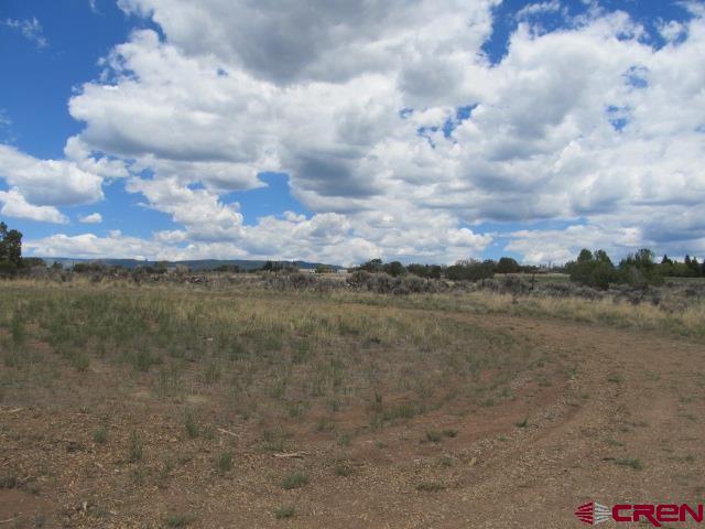 25333 Cedar Mesa Road Cedaredge, CO 81413 - Photo 6 of 19 a view of a lake in middle of forest